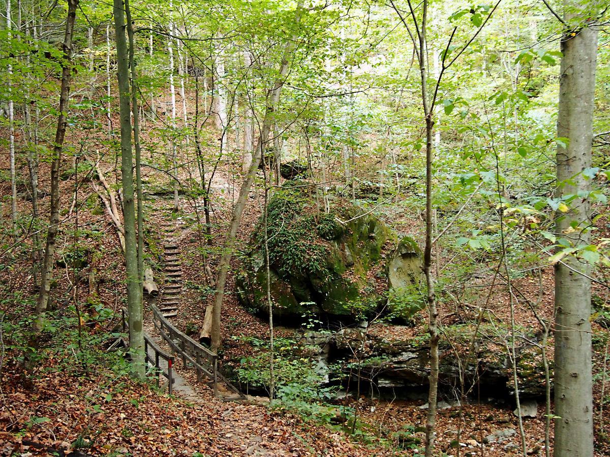 Carter Caves State Resort Park Olive Hill Dış mekan fotoğraf